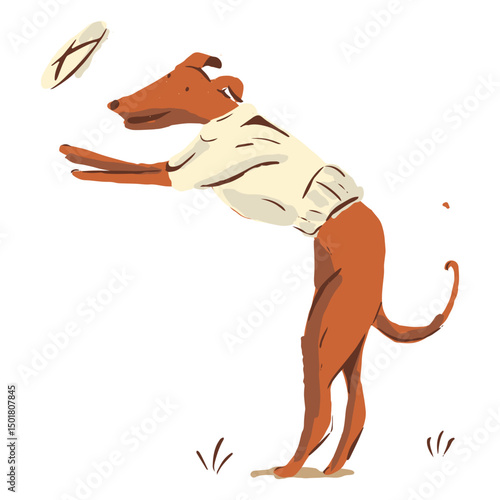 Cute winter frisbee dog
