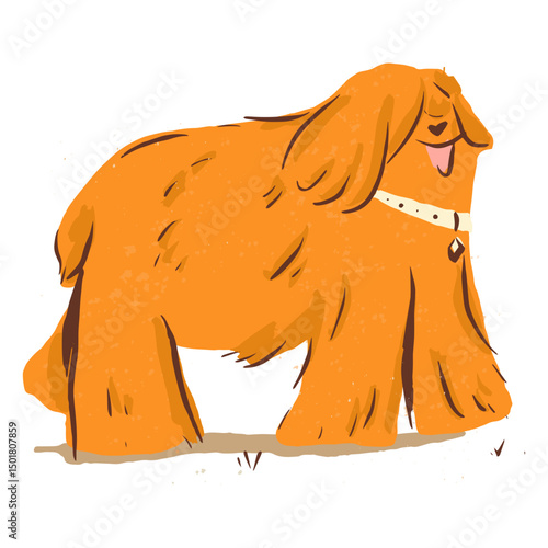 Cute long hair winter dog