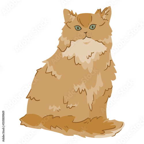 Persian cat animal