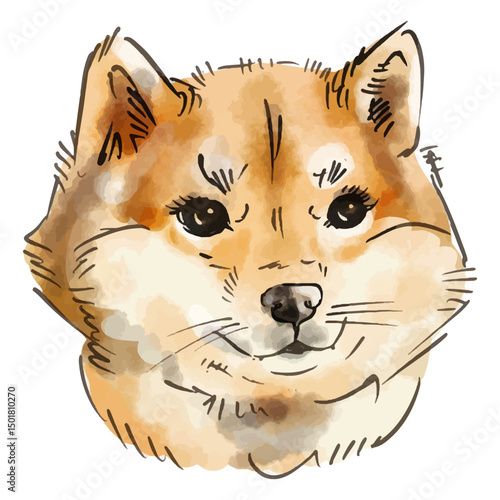 Watercolor Shiba Inu dog