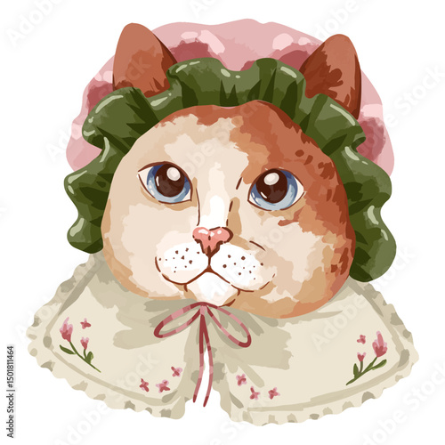 Cat wearing a hat and a collar