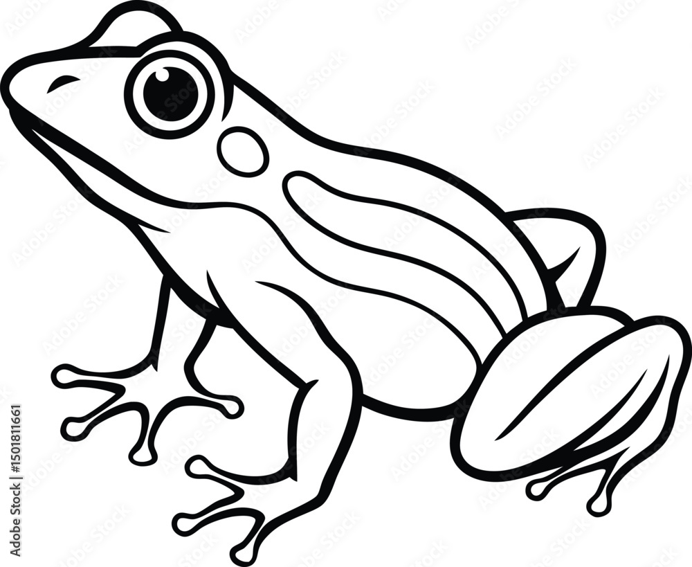 Naklejka premium frog on a white background