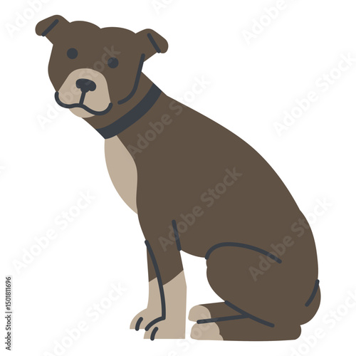 Pit bull dog sitting down