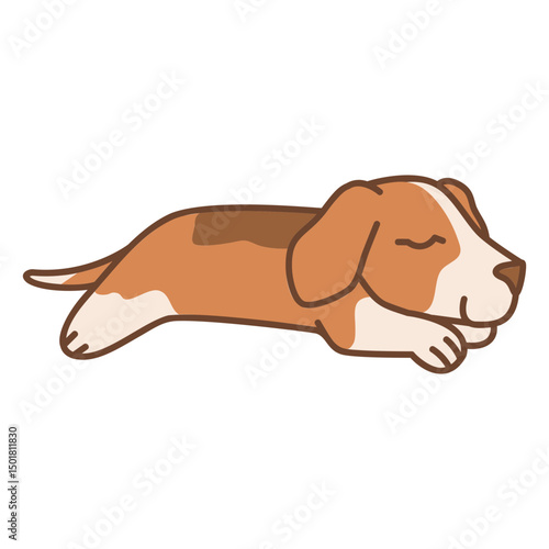 Beagle dog sleeping