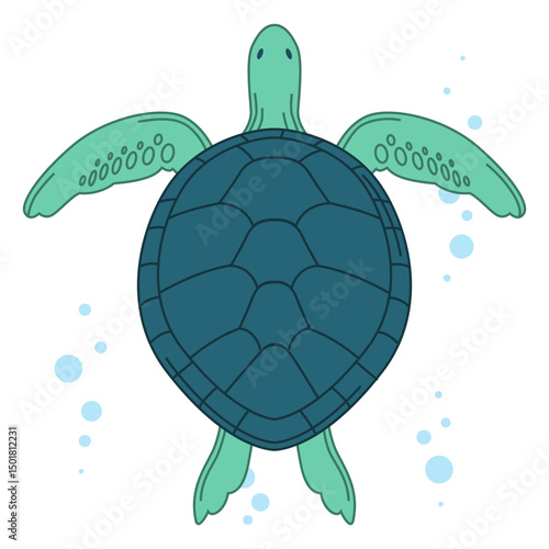 Sea turtle illustration