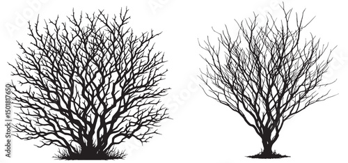 Set of bush and bare bush decorative garden plants silhouettes vector illustration 