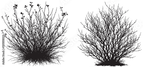  set of bare bush grass shrub herb bush bare tree silhouette vector transparent background  
