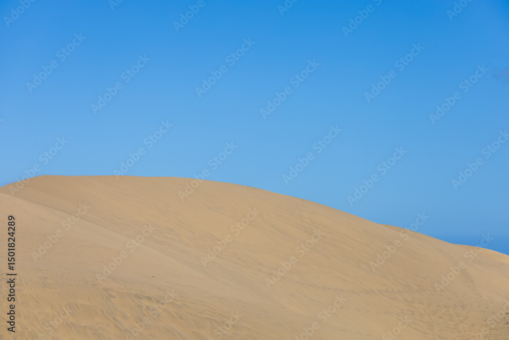 Desert landscape and sand dunes in Maspalomas. View of dunes and sea. Gran Canaria Island Spain Desert landscape and sand dunes in Maspalomas. View of dunes and sea. Gran Canaria Island Spain