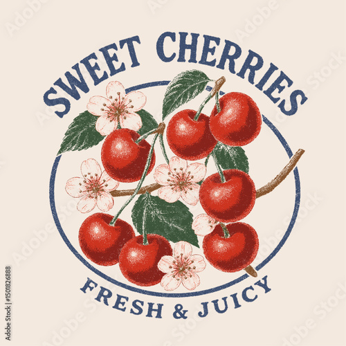 Sweet Cherries typography text print. Retro Cherry Print Design Vector with Slogan. Fashion graphic prints for cherries fruit, Fashion slogan print. womens cute t-shirt print, vintage poster design.