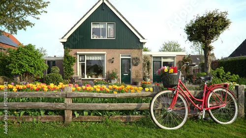 Charming Dutch Home With Tulips And Bicycle In Springtime