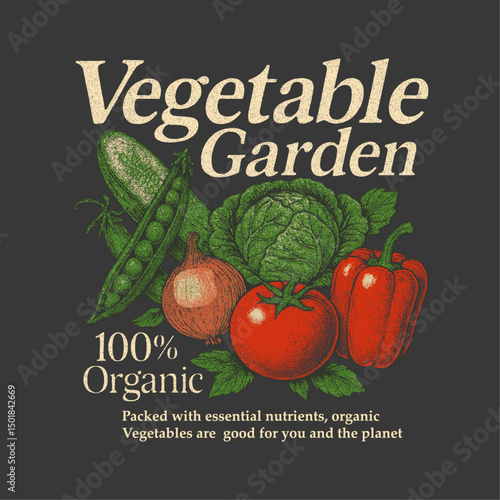 Vegetable Garden Organic vintage graphics. food fashion graphics. tomato broccoli capsicum vector. vegan t-shirt design. vintage retro Tasty food for design, Fresh vegan food,