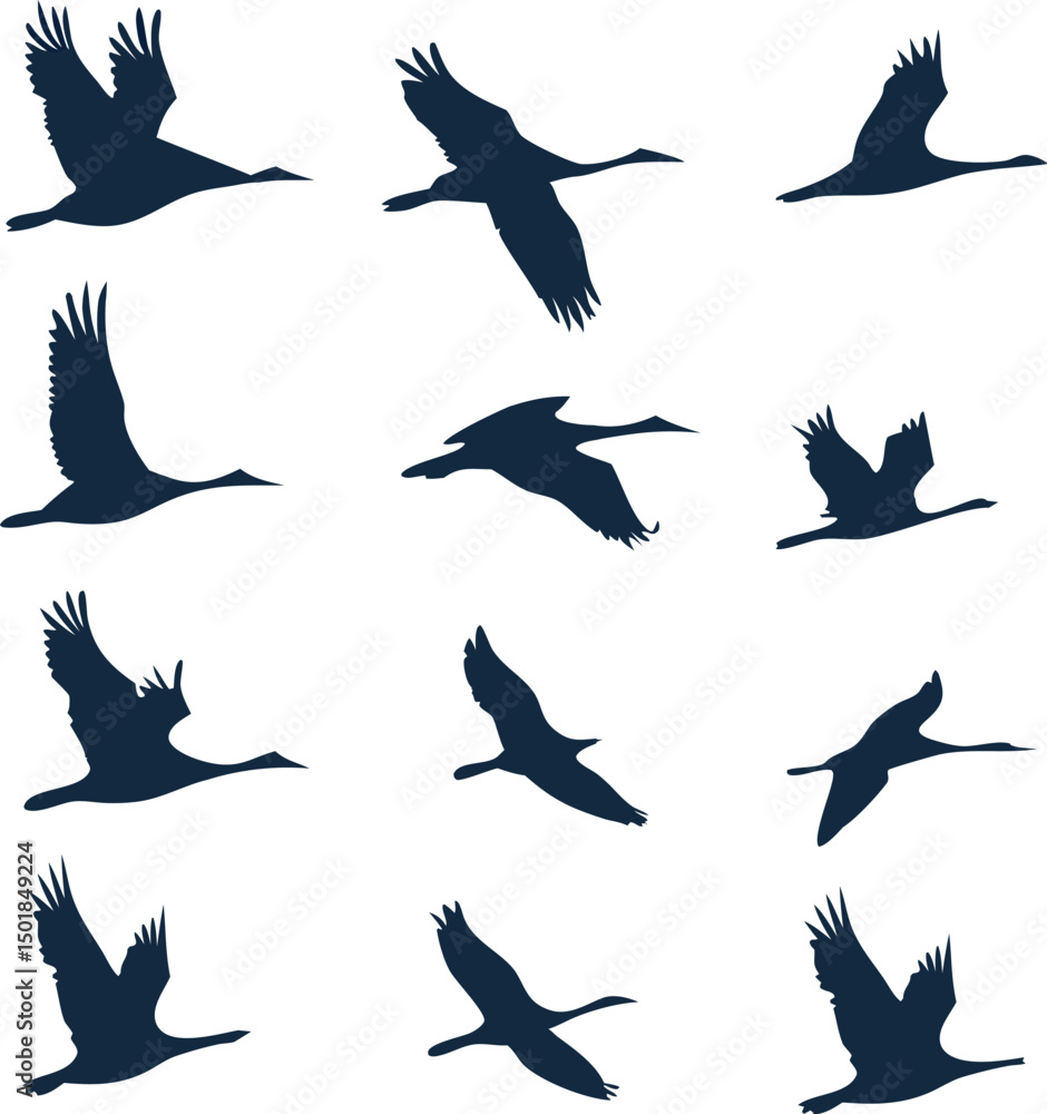 Fototapeta premium Set of flying bird silhouettes, a vector illustration of wild nature