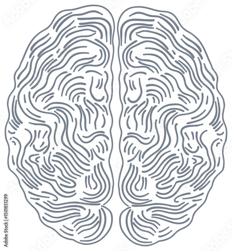 The sticker is a schematic image of the human brain, made in the form of an abstract labyrinth of smooth, winding lines imitating the cerebral cortex.