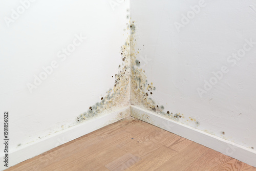 A corner of a room is visibly damaged by mold, with dark spots and discoloration on the wall and floor. This indicates poor ventilation and possible water damage in the area