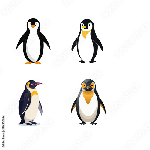 two penguins on a white background