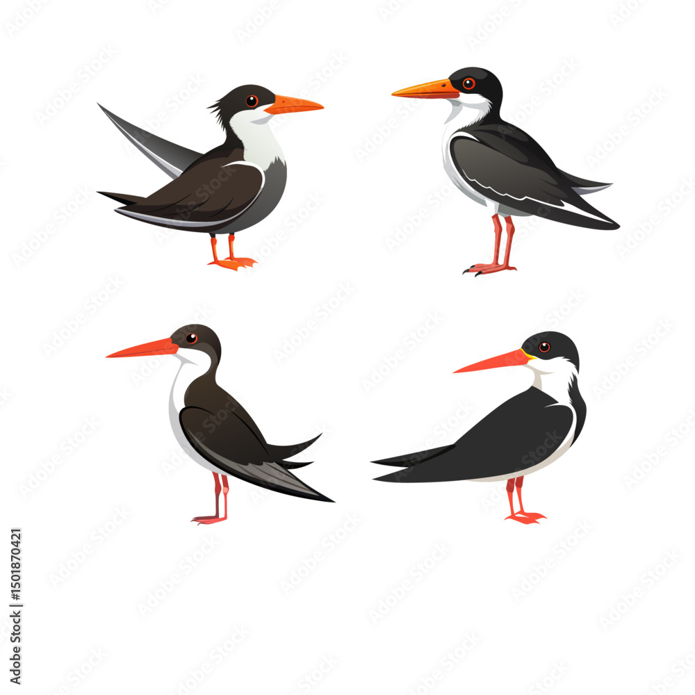 Fototapeta premium set of funny birds