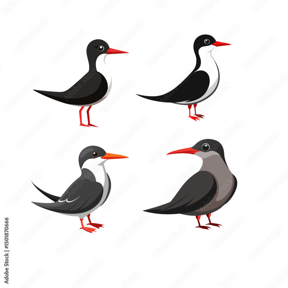 Fototapeta premium birds