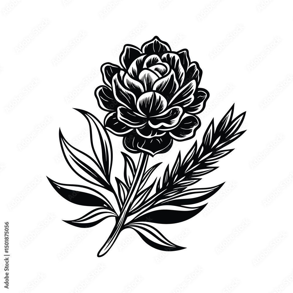 Fototapeta premium Lavender SVG