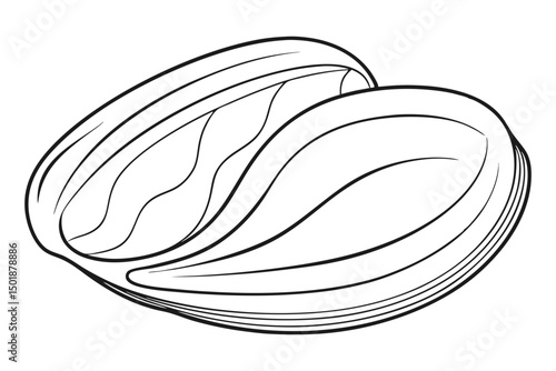 Sea Mussel Line Drawing Coloring Book for Children