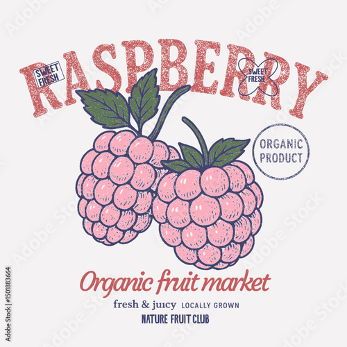 Raspberry vintage retro graphics. summer food grapics. girls t-shirt design. fruit print fashion design. trendy fashion graphics. Vintage berry branch sketch.  food vector art.