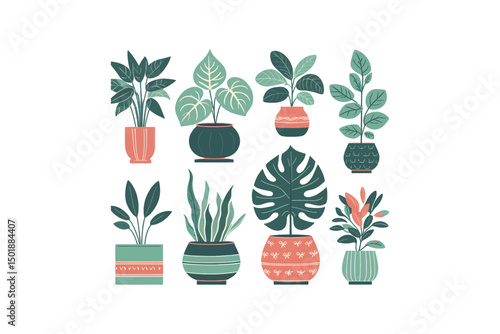 Flat color vector of popular indoor houseplants 