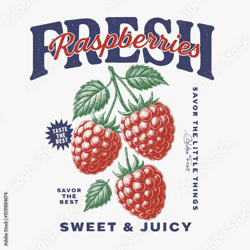 Raspberry vintage retro graphics. summer food grapics. girls t-shirt design. fruit print girls fashion design. womens trendy fashion graphics.