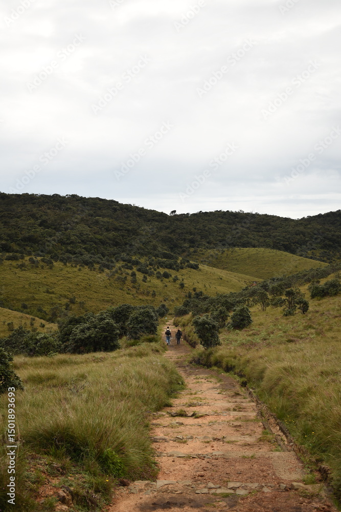 Obraz premium A Couple on a Hike in Horton Plains National Park, Sri Lanka.