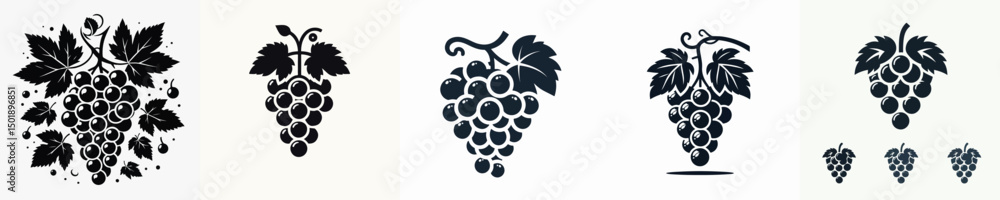 Obraz premium Vector silhouette of a grape