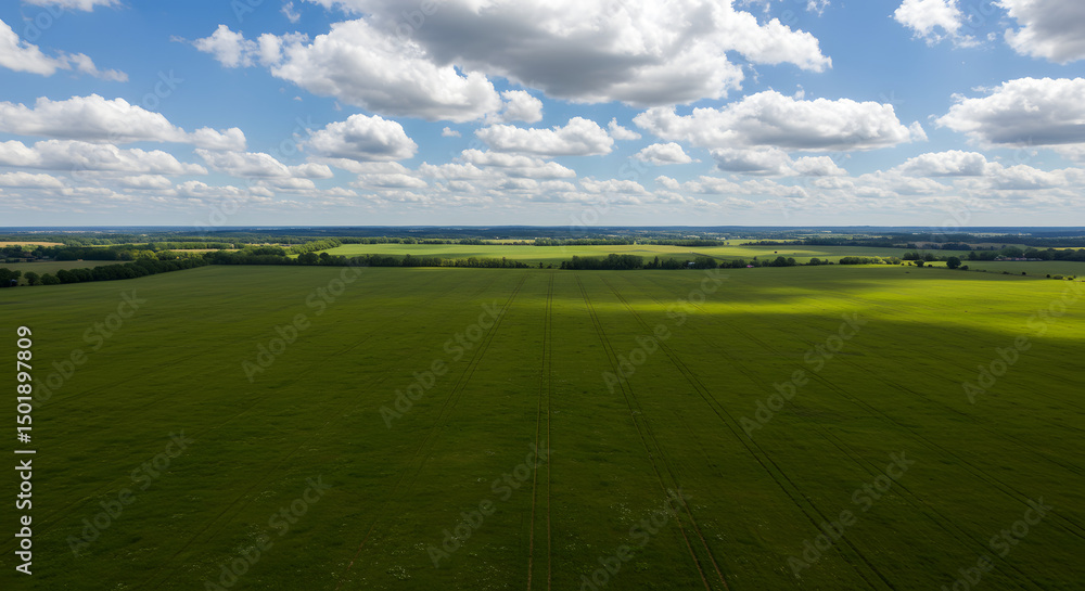 Fototapeta premium Expansive Green Field Under a Beautiful Sky with Clouds