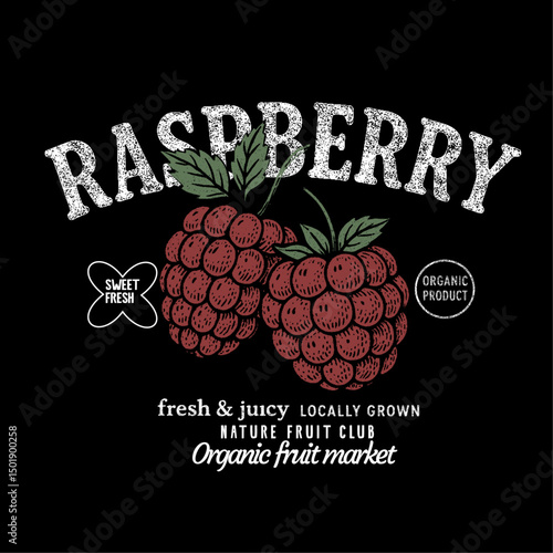 Fruit vintage t-shirt design. Organic berry food artwork for for t-shirt. raspberry fruit print. Nature fruit club. girls graphics and womens prints.