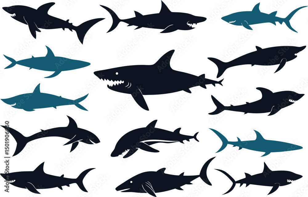 set of sharks set of sharks