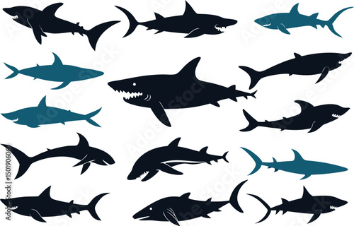 set of sharks