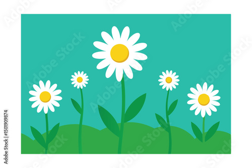 camomile on a green background