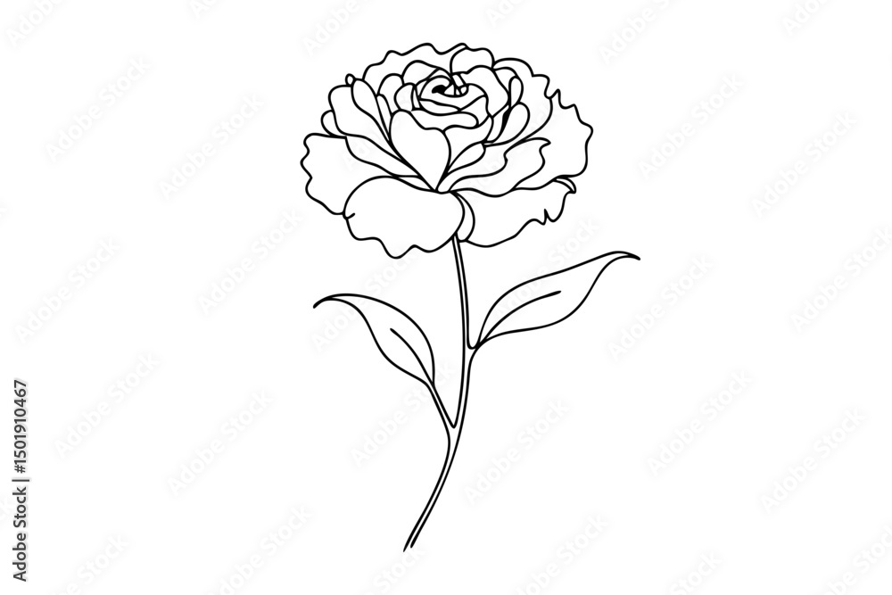 Carnation Flower in Line Drawing Style Carnation Flower in Line Drawing Style