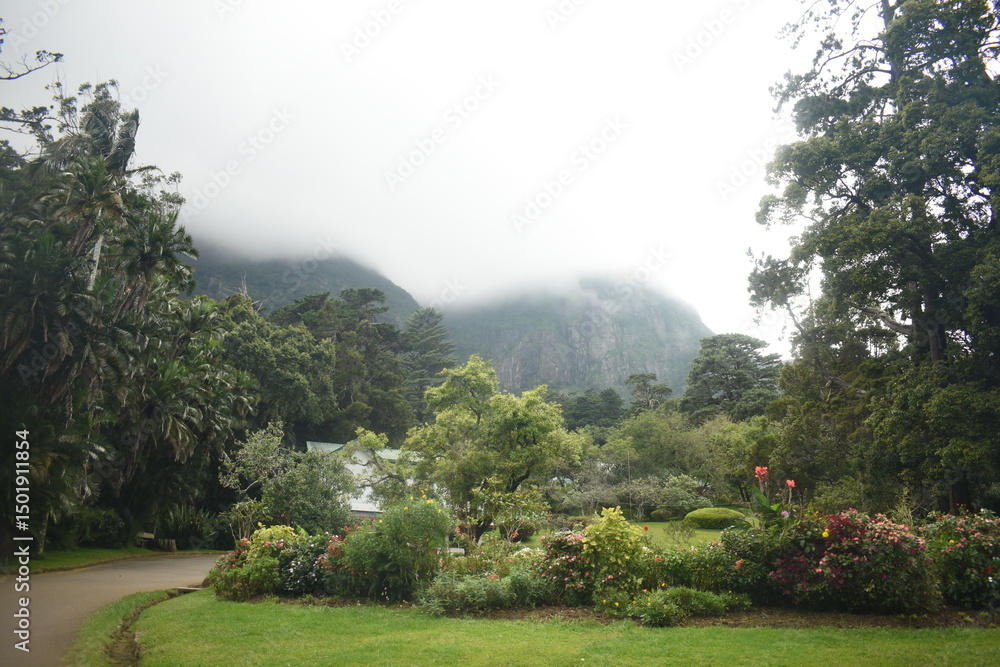 Naklejka premium Hakgala Botanical Garden, Hakgala, Nuwara Eliya, Sri Lanka.
