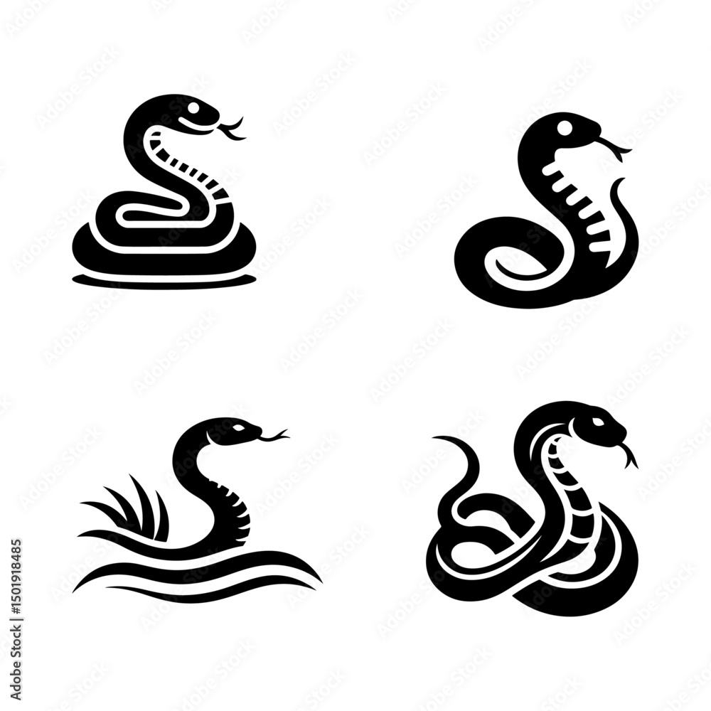 Fototapeta premium black and white snake