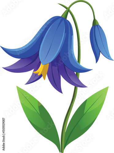 Bluebell