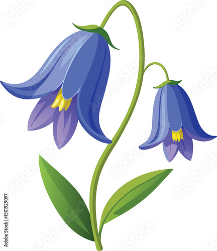 Bluebell