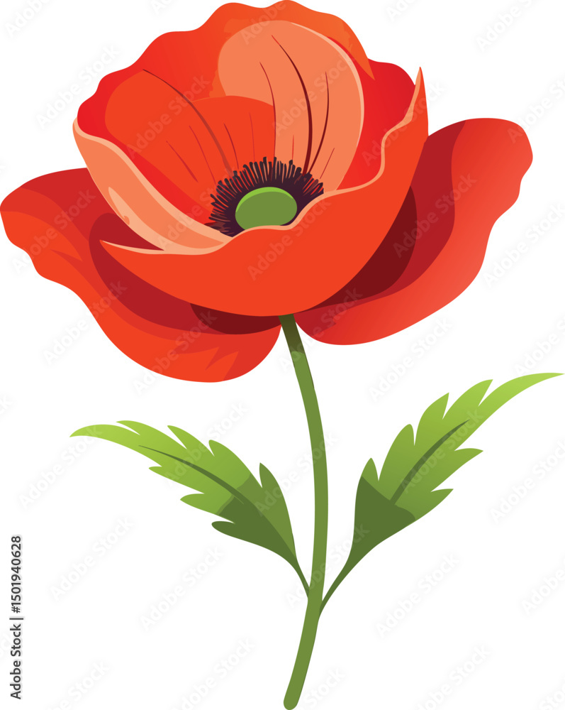 Obraz premium Poppy