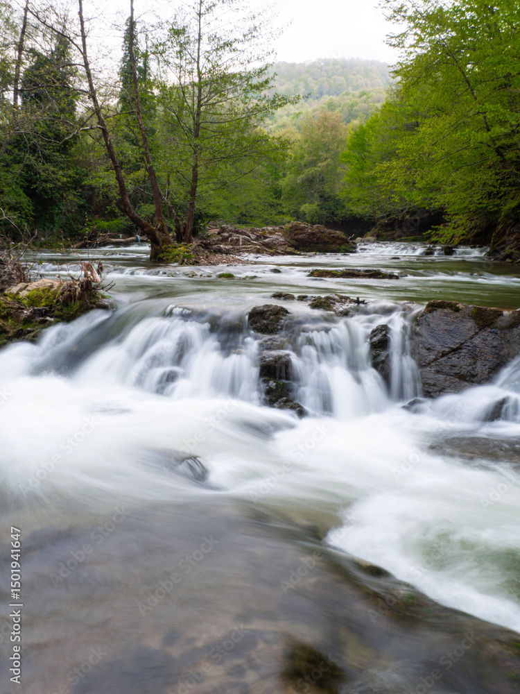 Fototapeta premium the waterfall