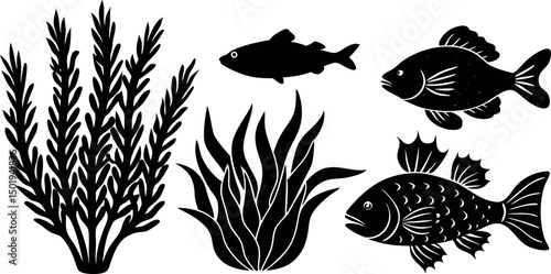 black and white fishes