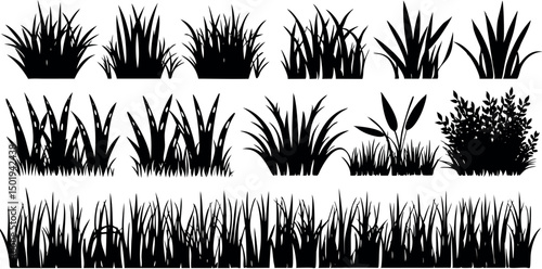 grass silhouettes set, Beach grass, reeds silhouette isolated on white. Vector collection.