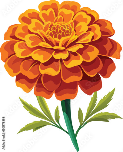 Marigold