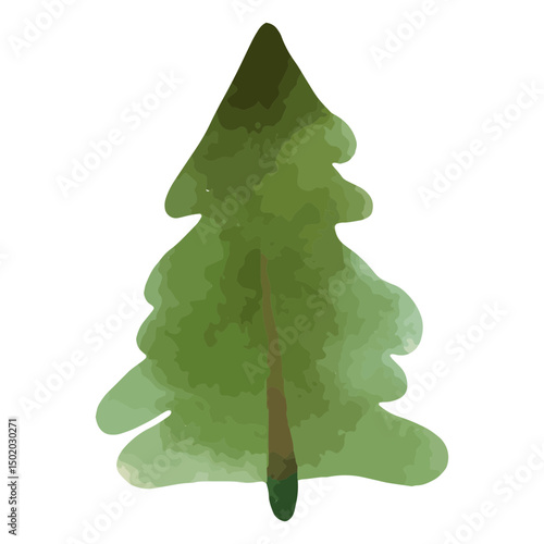 Watercolor pine tree