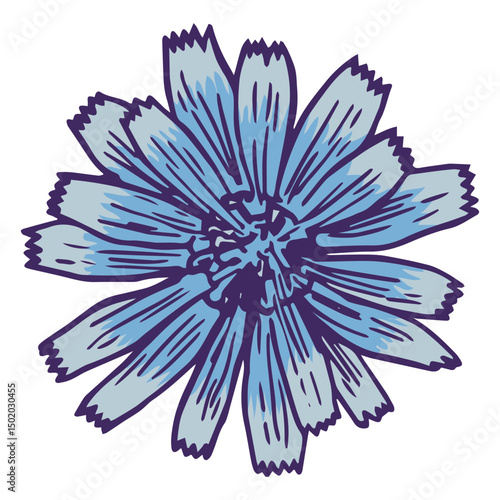 Cute light blue flower color stroke