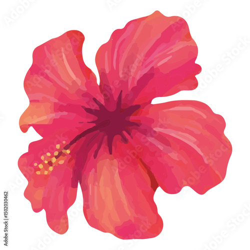 Floral pink hibiscus design watercolor