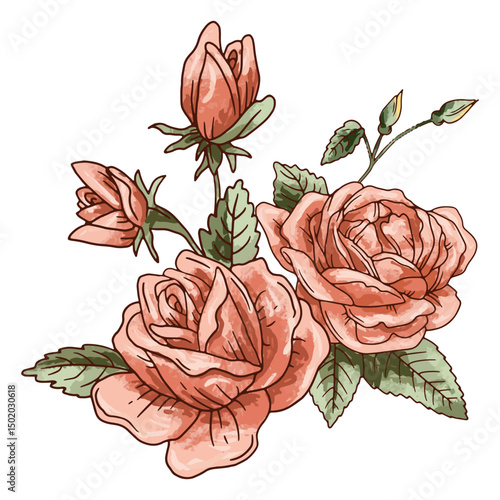 Roses petal flower icon