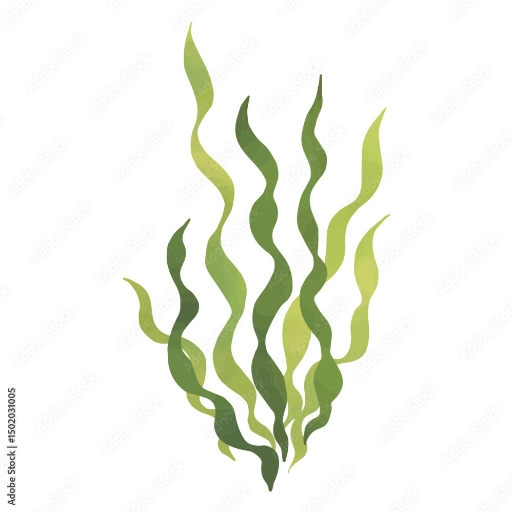 Seaweed swaying in the gentle waves of the ocean Seaweed swaying in the gentle waves of the ocean