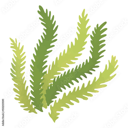 Majestic seaweed in the waters