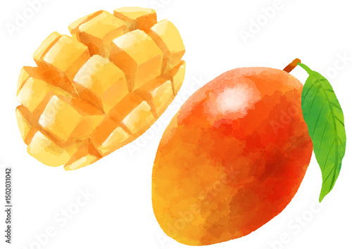 マンゴーのイラスト　手描き　水彩風